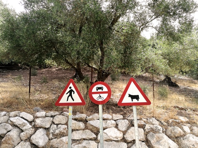 Now, this signage is pretty clear. Camino leaving Jimera de Líbar 